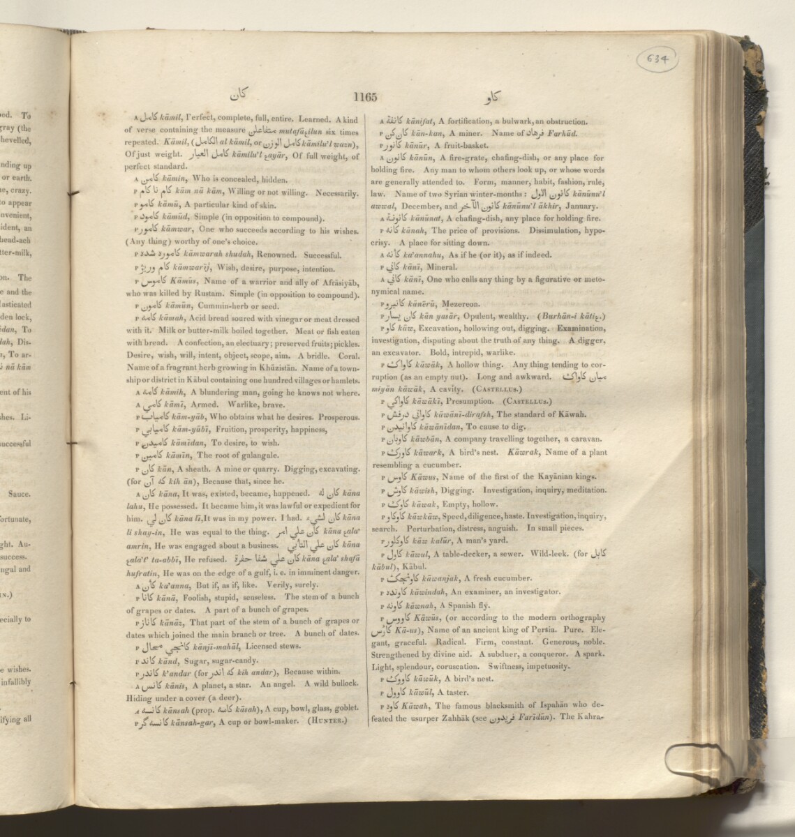 A Dictionary, Persian, Arabic, and English; with a Dissertation on