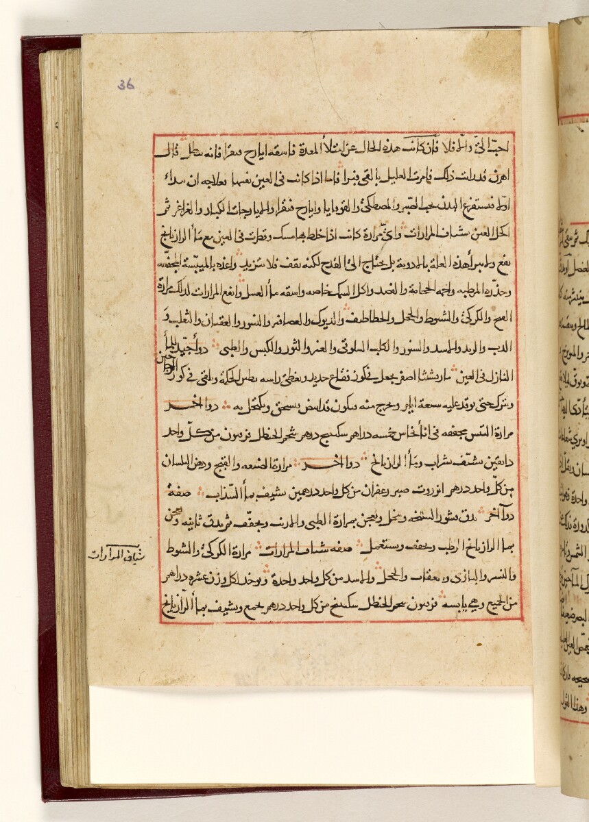 al-Ghiná wa-al-muná الغنى والمنى Qumrī, Abū Manṣūr al-Ḥasan ibn Nūḥ قمري،  أبو منصور الحسن بن نوح [‎36r] (82/540) | Qatar Digital Library